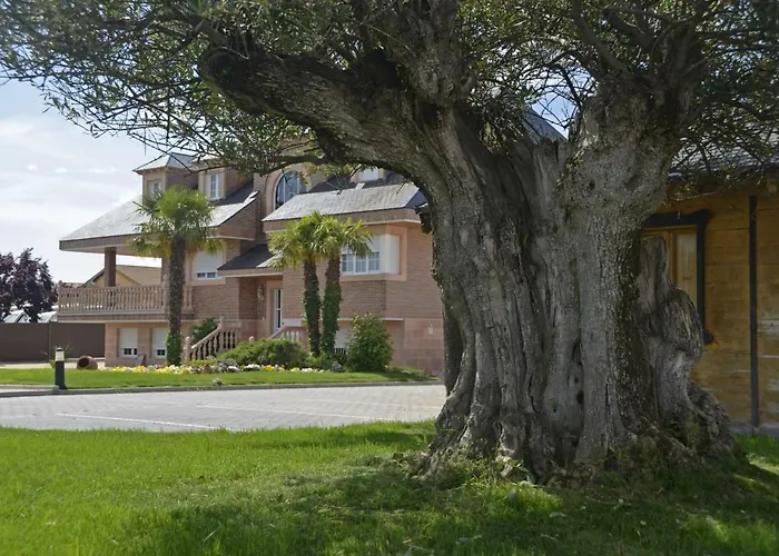 Сasa de vacaciones Olivos *